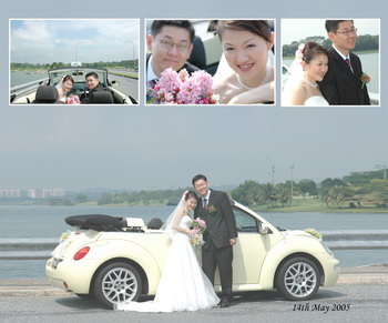 wedding photo 